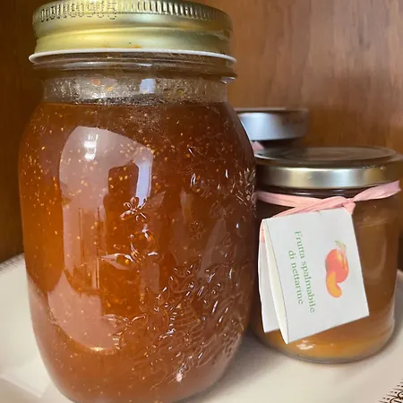 Civico 99 3* Ravenna